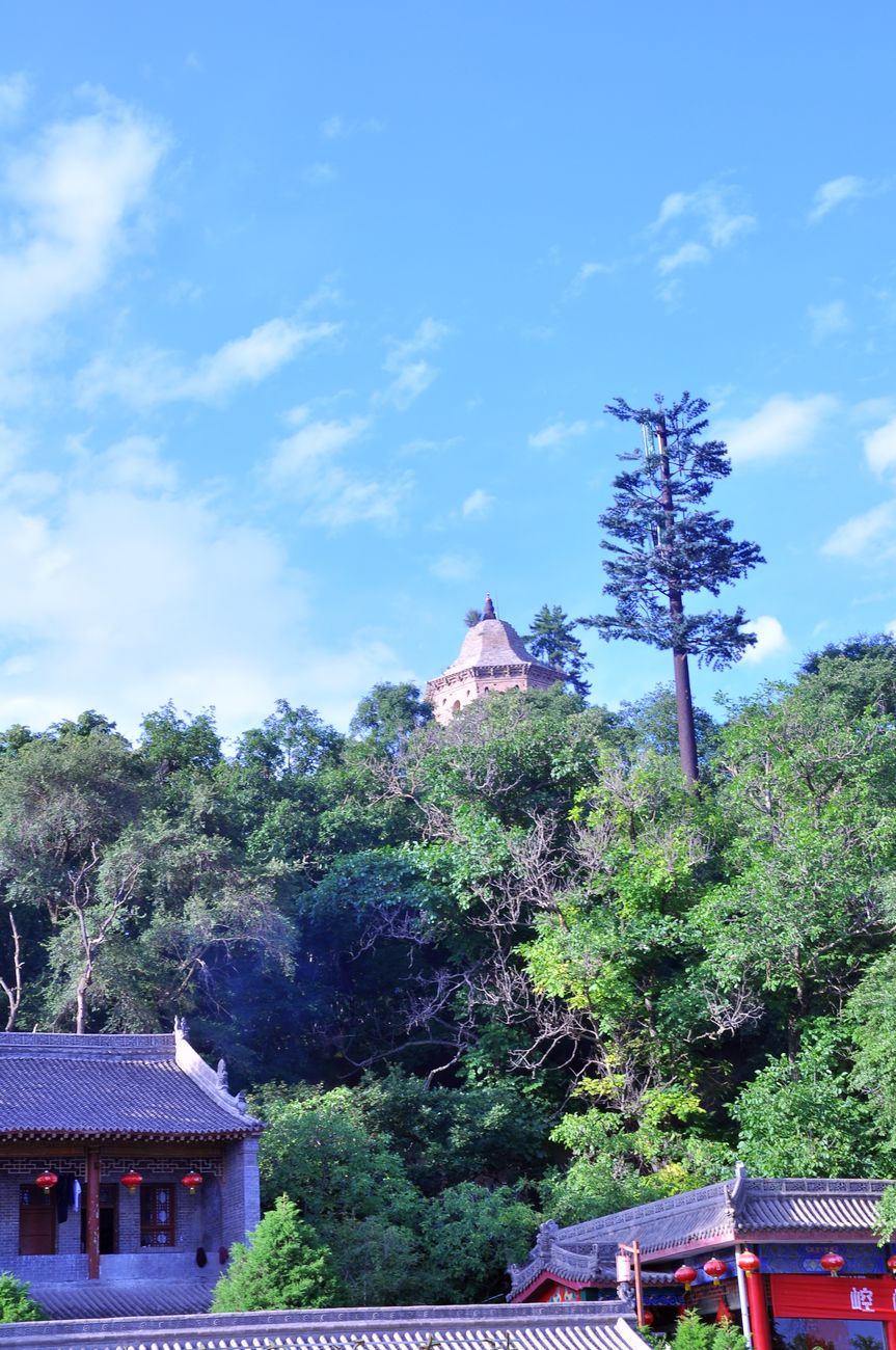 DSC_3175.jpg