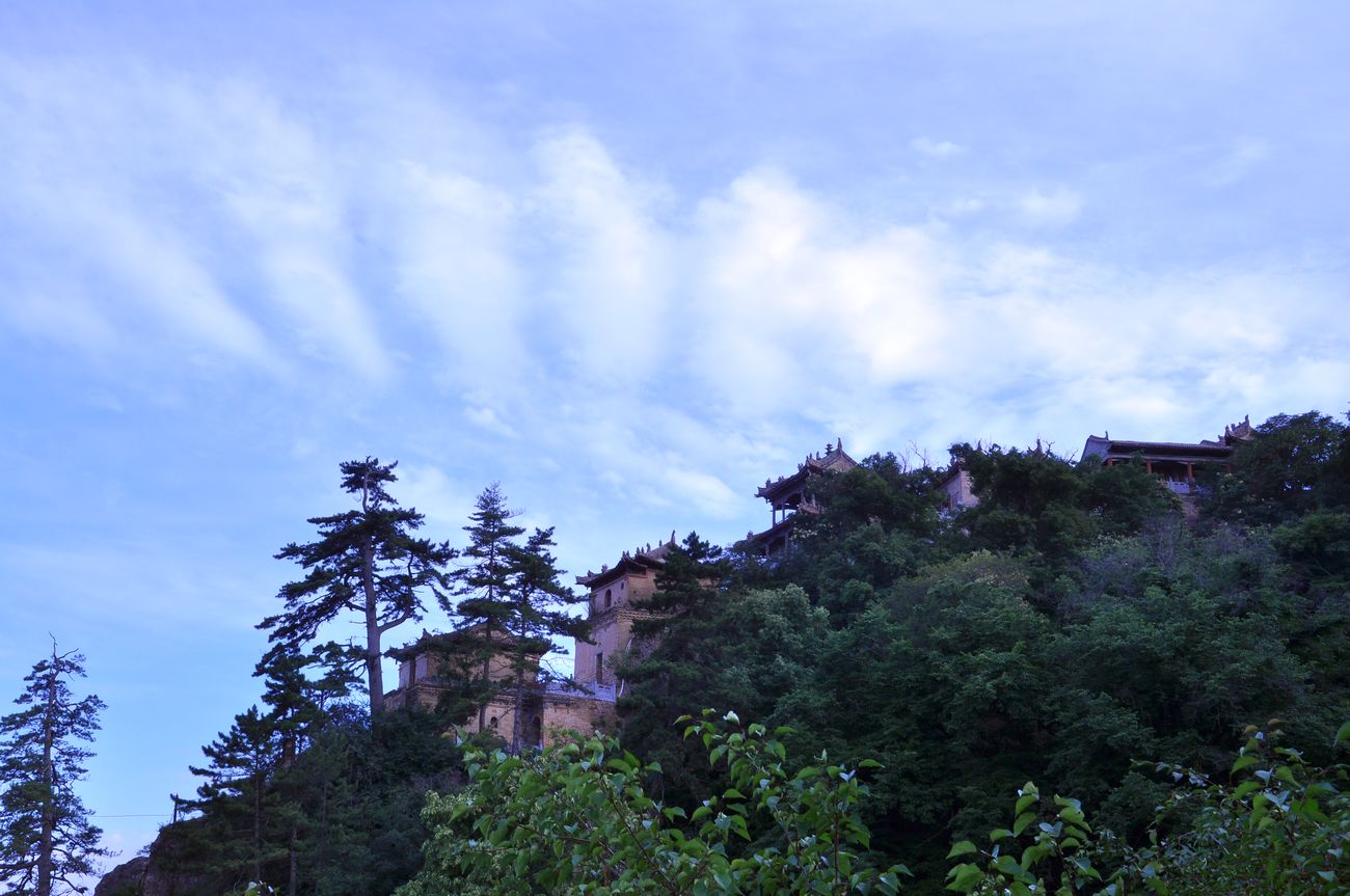 DSC_3202.jpg