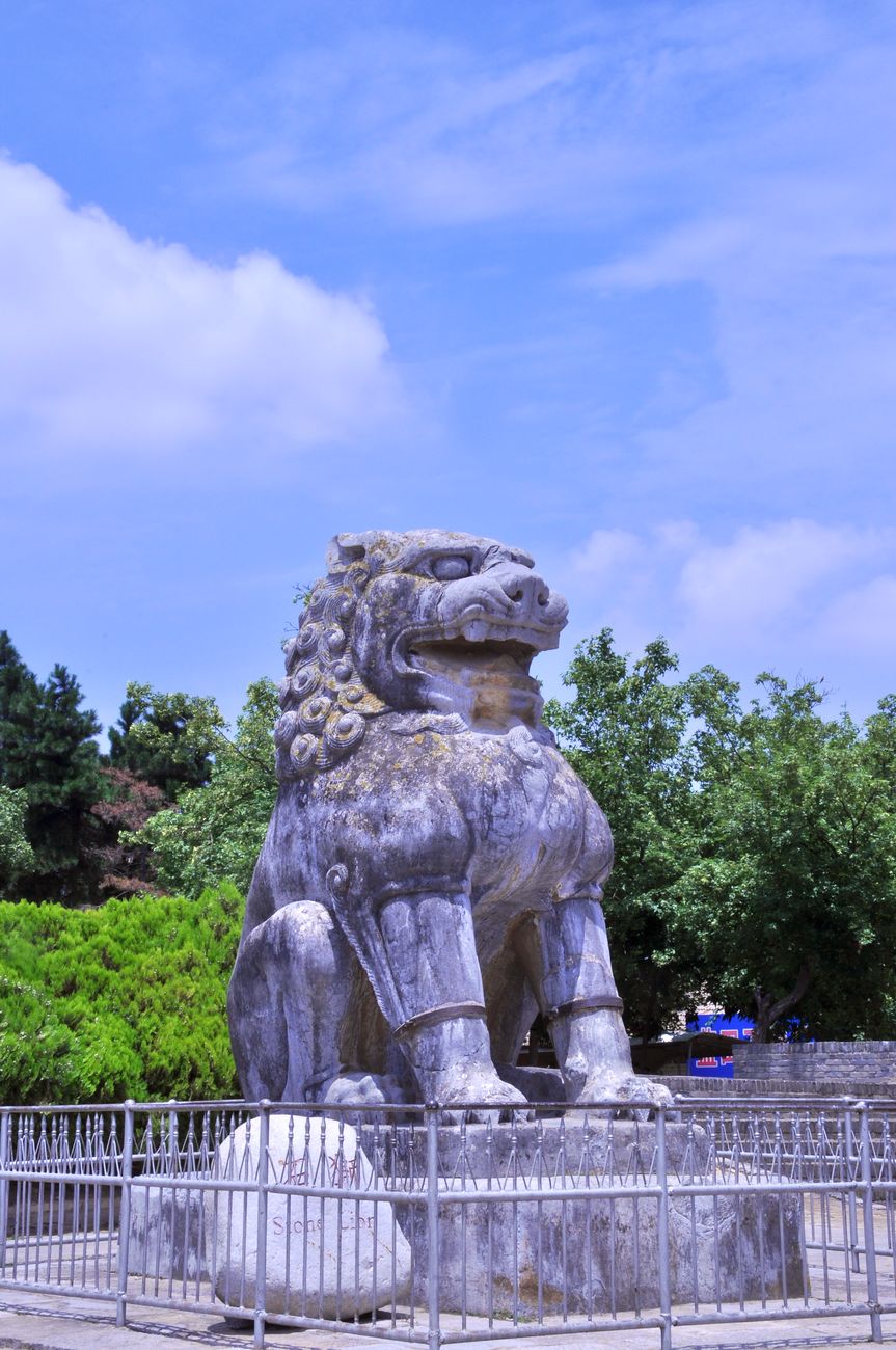 DSC_3302.jpg