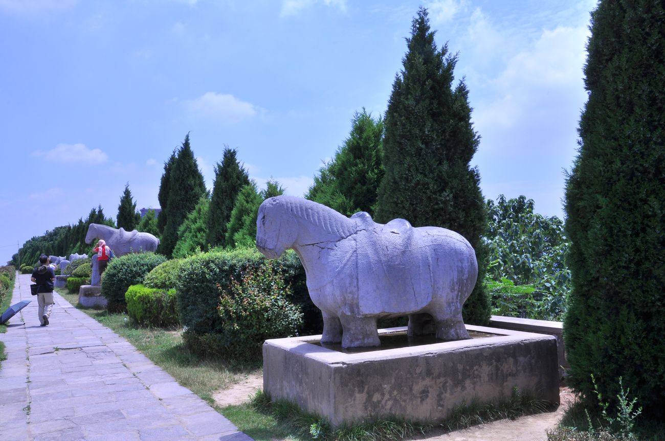 DSC_3336.jpg