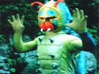 16 毒蛾怪人(幼蟲).jpg