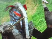 28 食蟻獸怪人.jpg