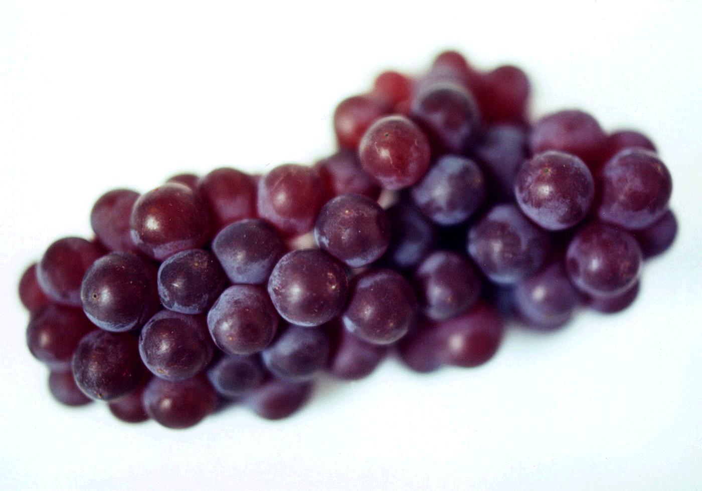 grape1.jpg