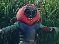 33 電力螢火蟲.jpg