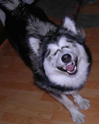 image021.jpg