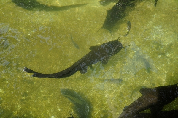 DSC_0634.JPG