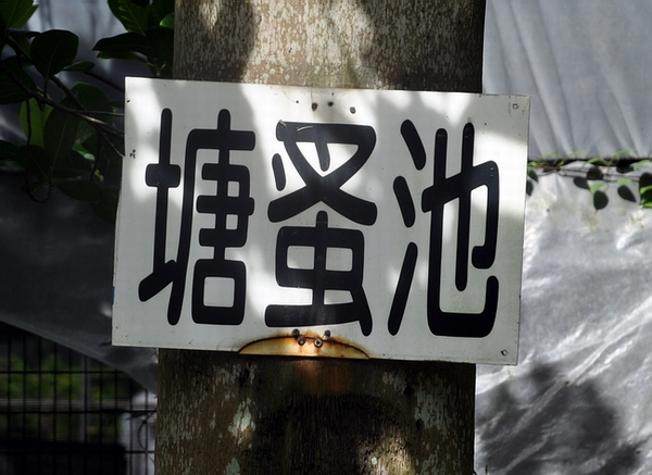 DSC_0636.JPG