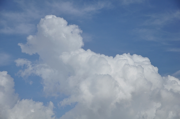 DSC_0738.JPG
