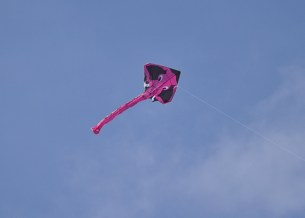 DSC_0757.JPG
