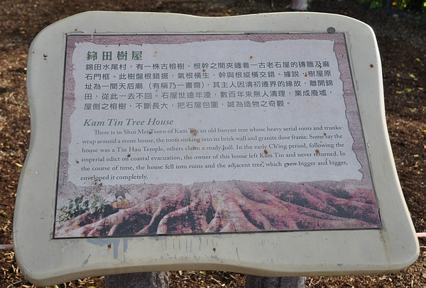 DSC_0771.JPG