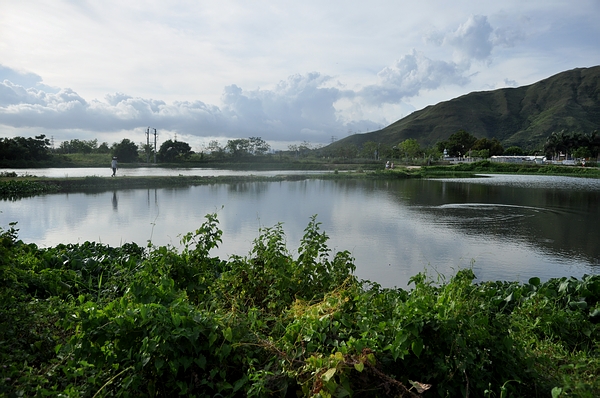 DSC_0773.JPG