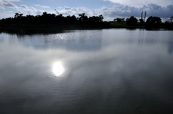 DSC_0777.JPG