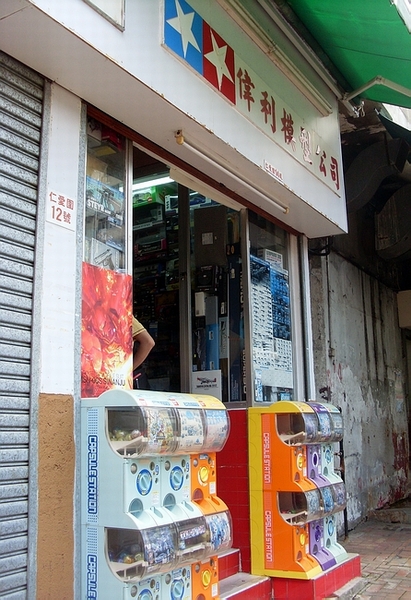 SL381193.JPG
