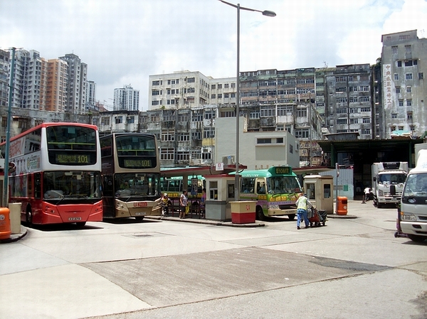 SL381196.JPG