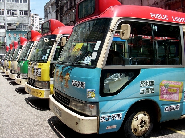 SL381211.JPG