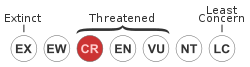 250px-Status_iucn3_1_CR_svg.png