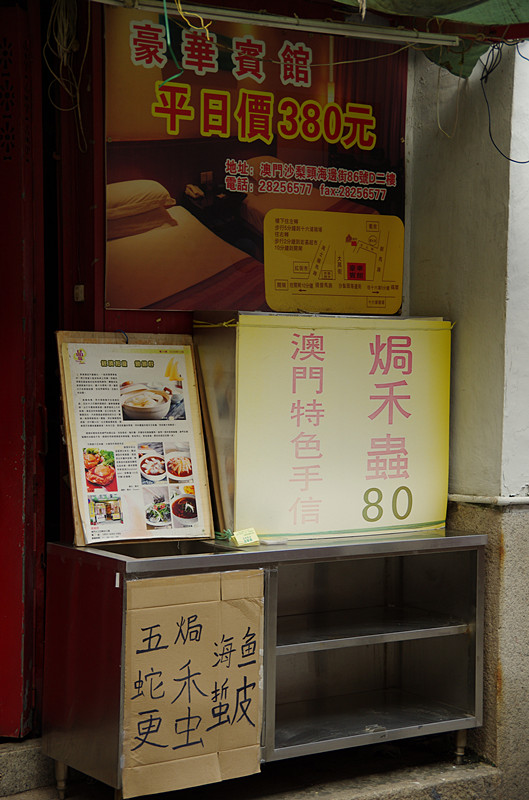 IMGP0012_副本.jpg
