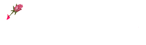 2005810112435.gif