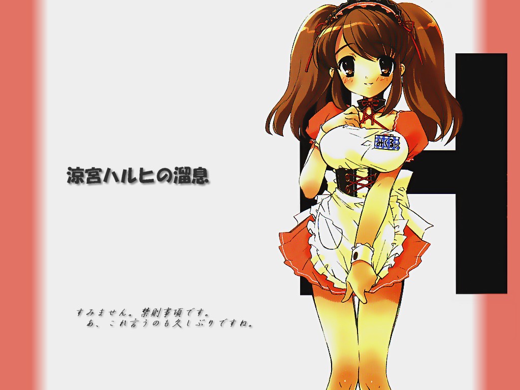 haruhi-wall2-1-a450b.jpg