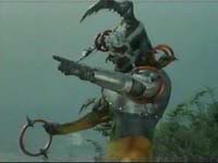 28 繩圈大甲蟲.jpg