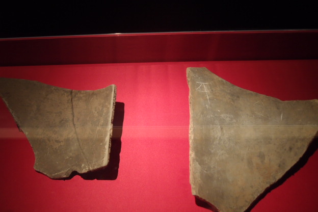 P8151504.JPG