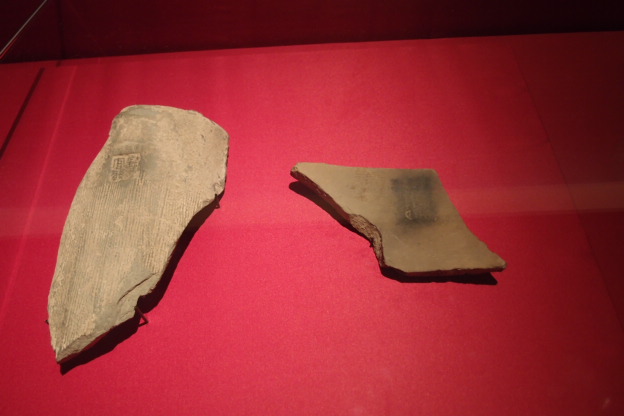 P8151505.JPG