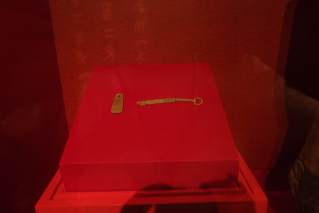 P8151536.JPG