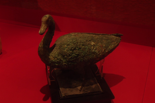 P8151538.JPG