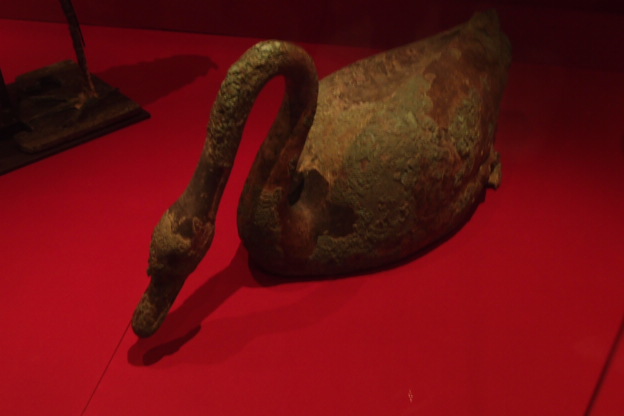 P8151539.JPG