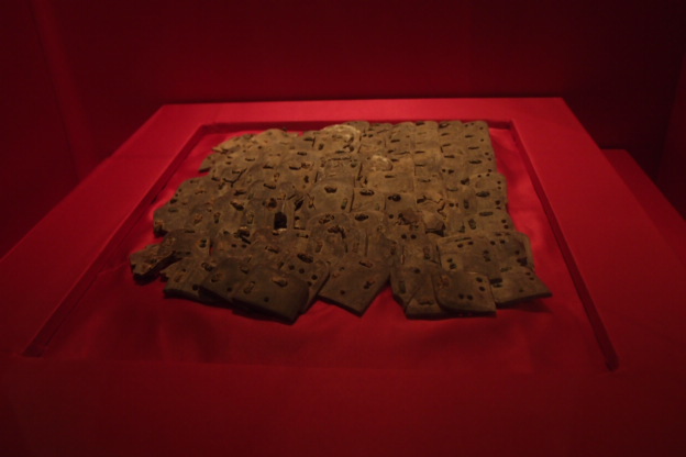 P8151542.JPG