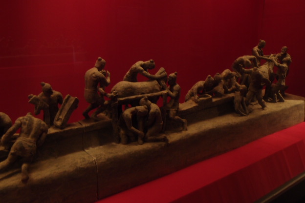 P8151553.JPG