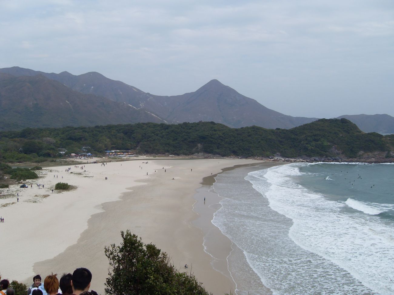 SDC10825-small.jpg