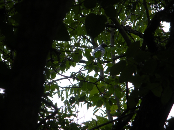 DSCN9039.JPG
