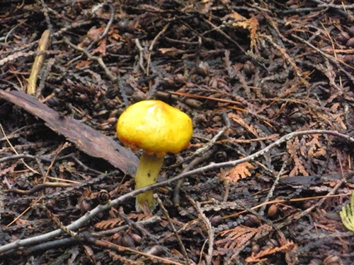 DSCN9041.JPG