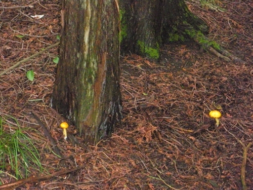 DSCN9044.JPG