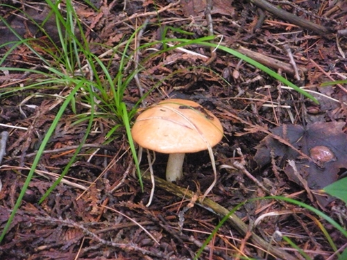 DSCN9049.JPG