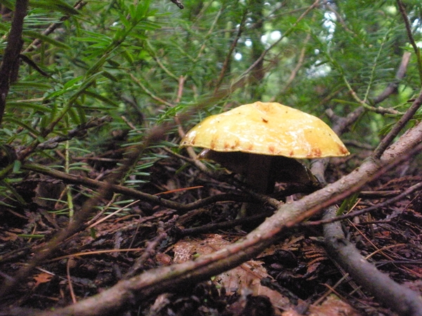 DSCN9055.JPG
