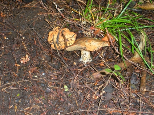 DSCN9061.JPG