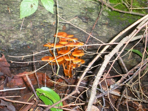DSCN9064.JPG