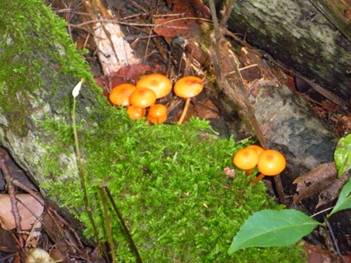 DSCN9073.JPG