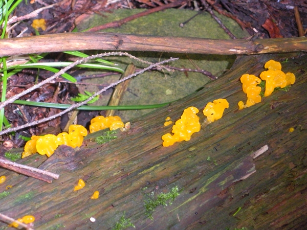 DSCN9077.JPG