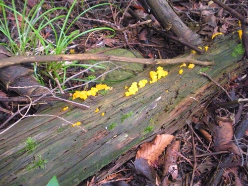 DSCN9079.JPG