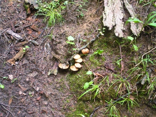 DSCN9082.JPG