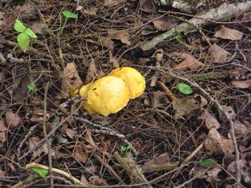DSCN9086.JPG