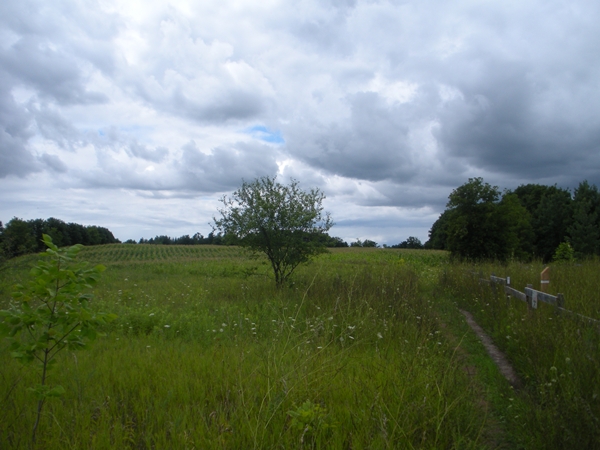 DSCN9090.JPG