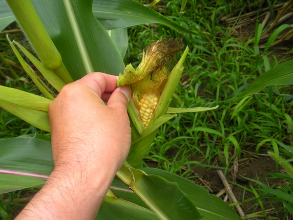 DSCN9096.JPG