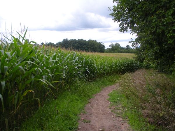 DSCN9097.JPG