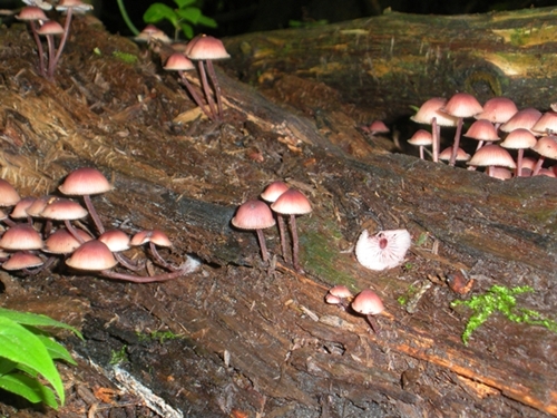 DSCN9107.JPG