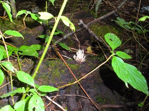 DSCN9114.JPG