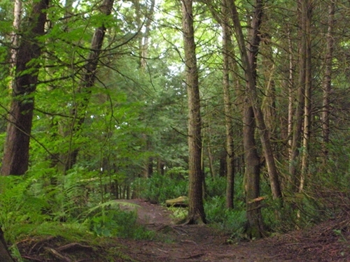 DSCN9130.JPG